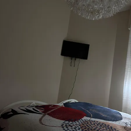 The Nest Проживание в семье