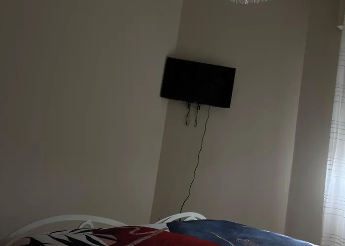 The Nest Проживание в семье